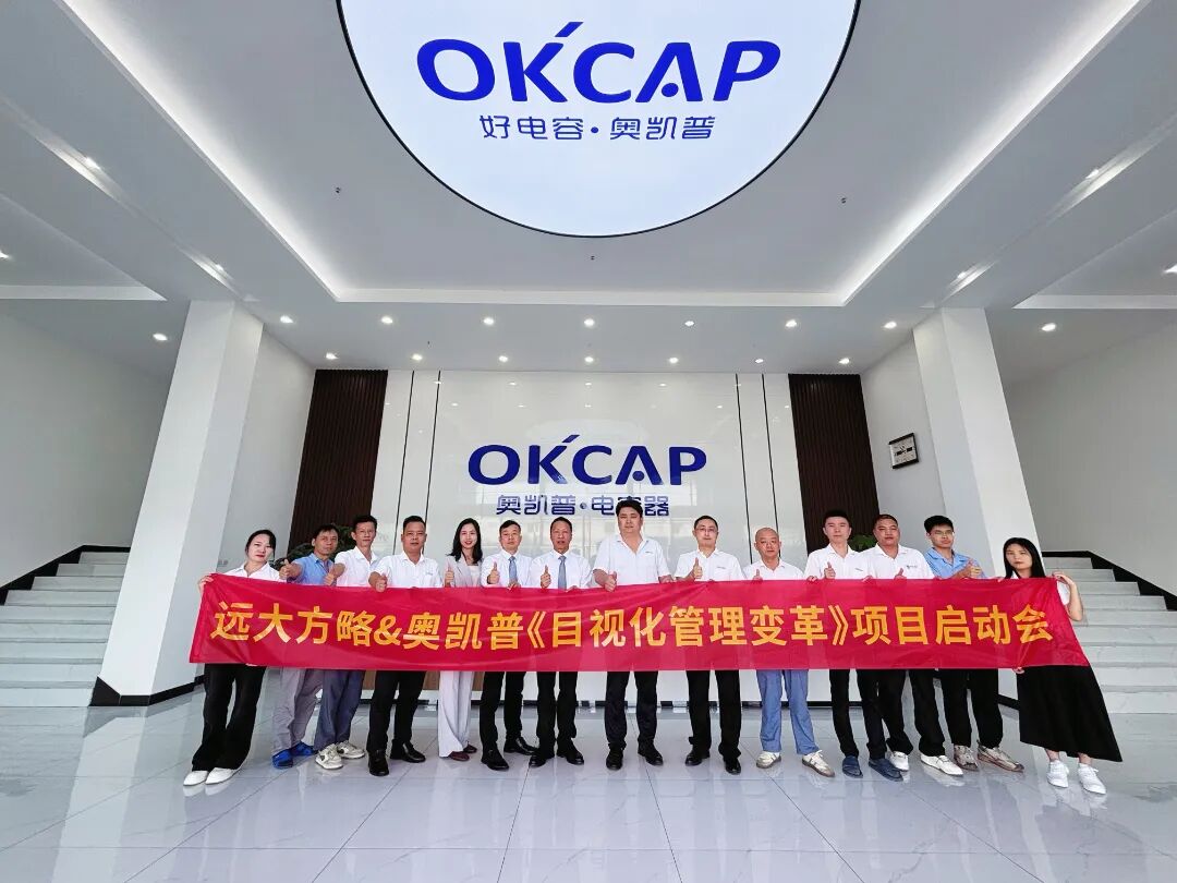 電子行業(yè) | 奧凱普攜手遠大方略啟動《目視化管理》咨詢項目
